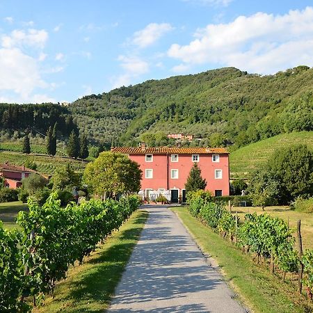 Agriturismo Le Murelle Lucca Kültér fotó