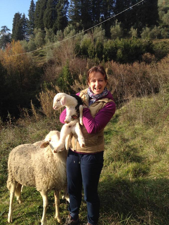 Agriturismo Le Murelle Lucca Kültér fotó