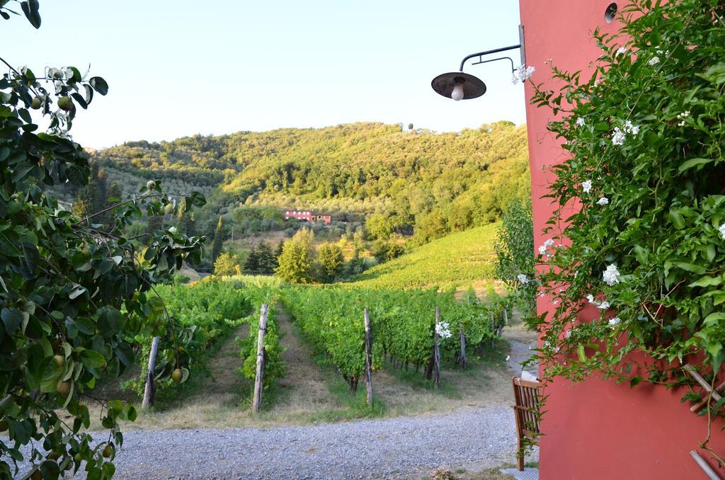Agriturismo Le Murelle Lucca Kültér fotó