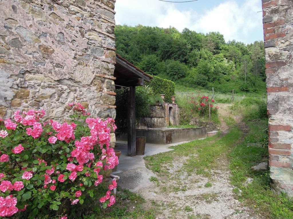 Agriturismo Le Murelle Lucca Kültér fotó