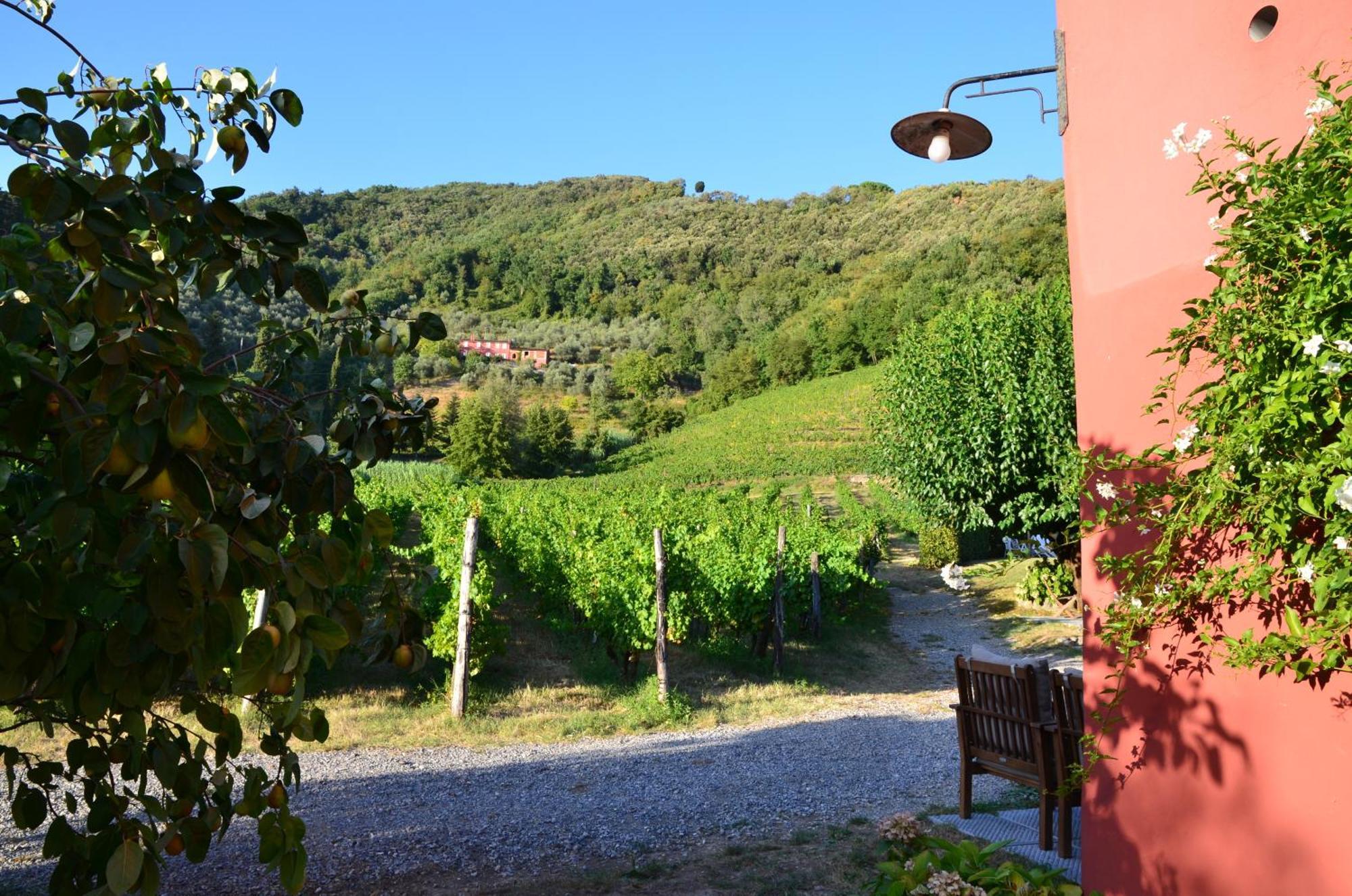 Agriturismo Le Murelle Lucca Kültér fotó